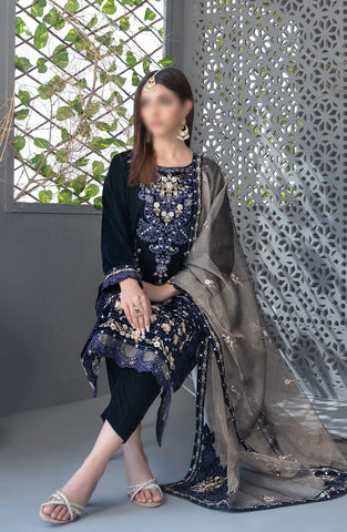 Makhmal-e-Kahani -Fancy Heavy Emb Velvet Coll-24 D-3972